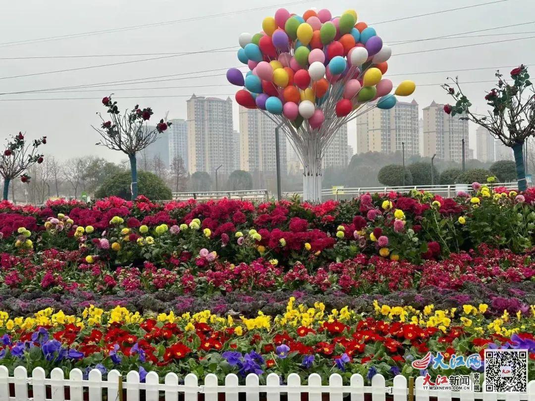 气球花架(黄雨洁 供图)