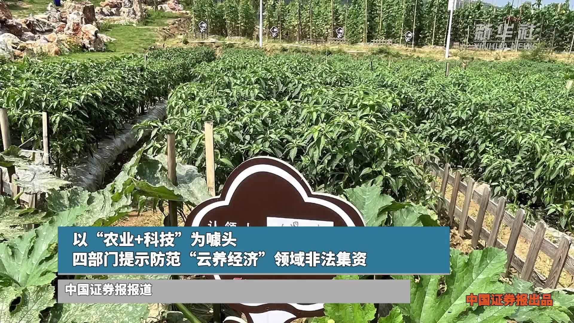 以“农业+科技”为噱头 四部门提示防范“云养经济”领域非法集资