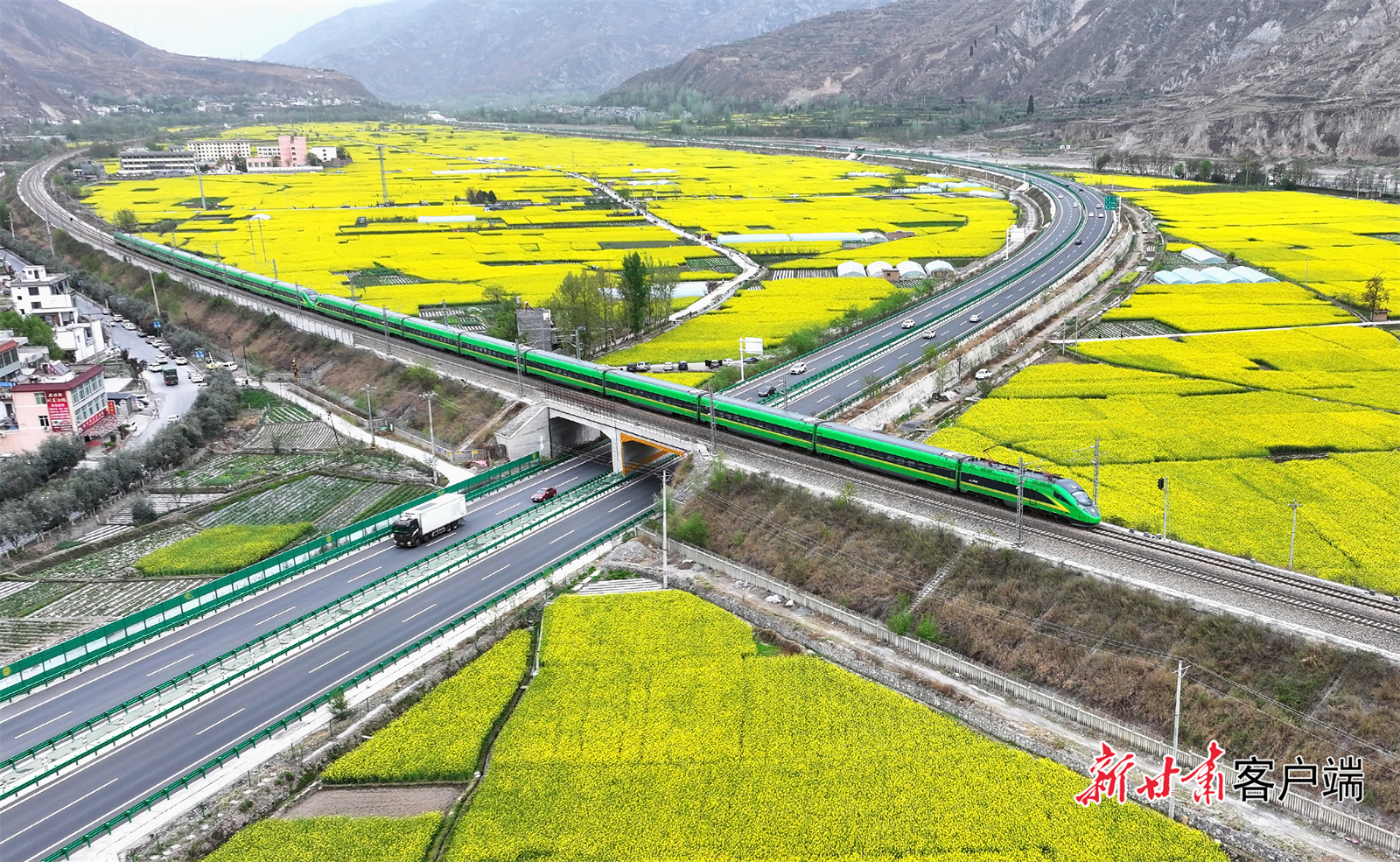 每年春天，兰渝铁路线上来往的车辆穿梭在陇南的油菜花海里。（新甘肃&middot;甘肃日报通讯员　冉创昌　摄）