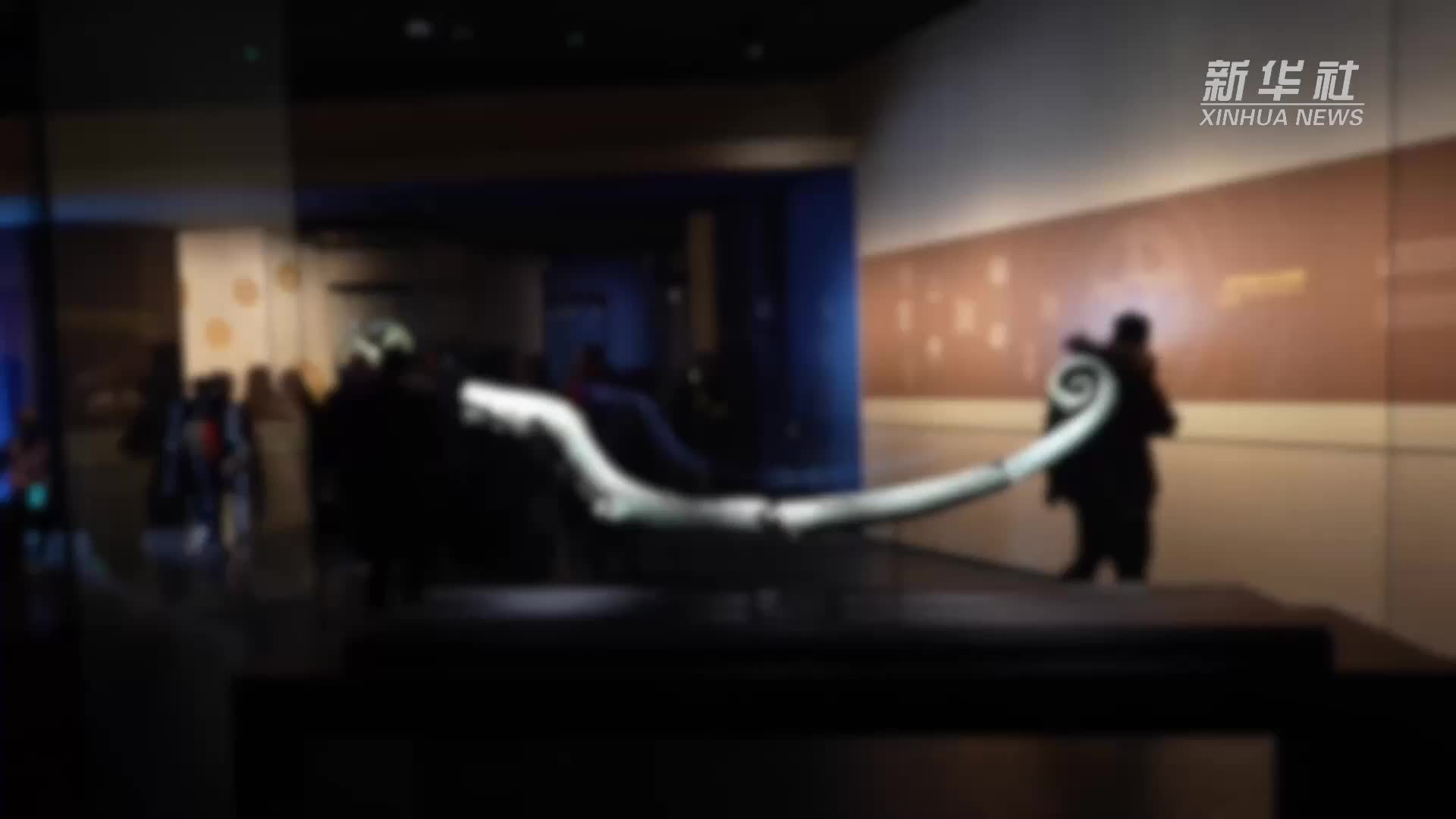 文化中国行·国宝画重点丨蛇生羽翼、腾化飞龙：探秘蜀地灵蛇