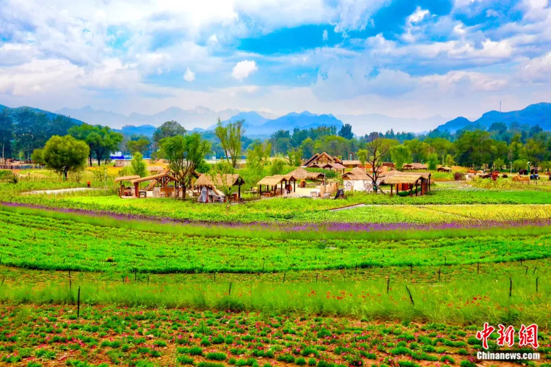 恋乡·太行水镇。保定文旅供图