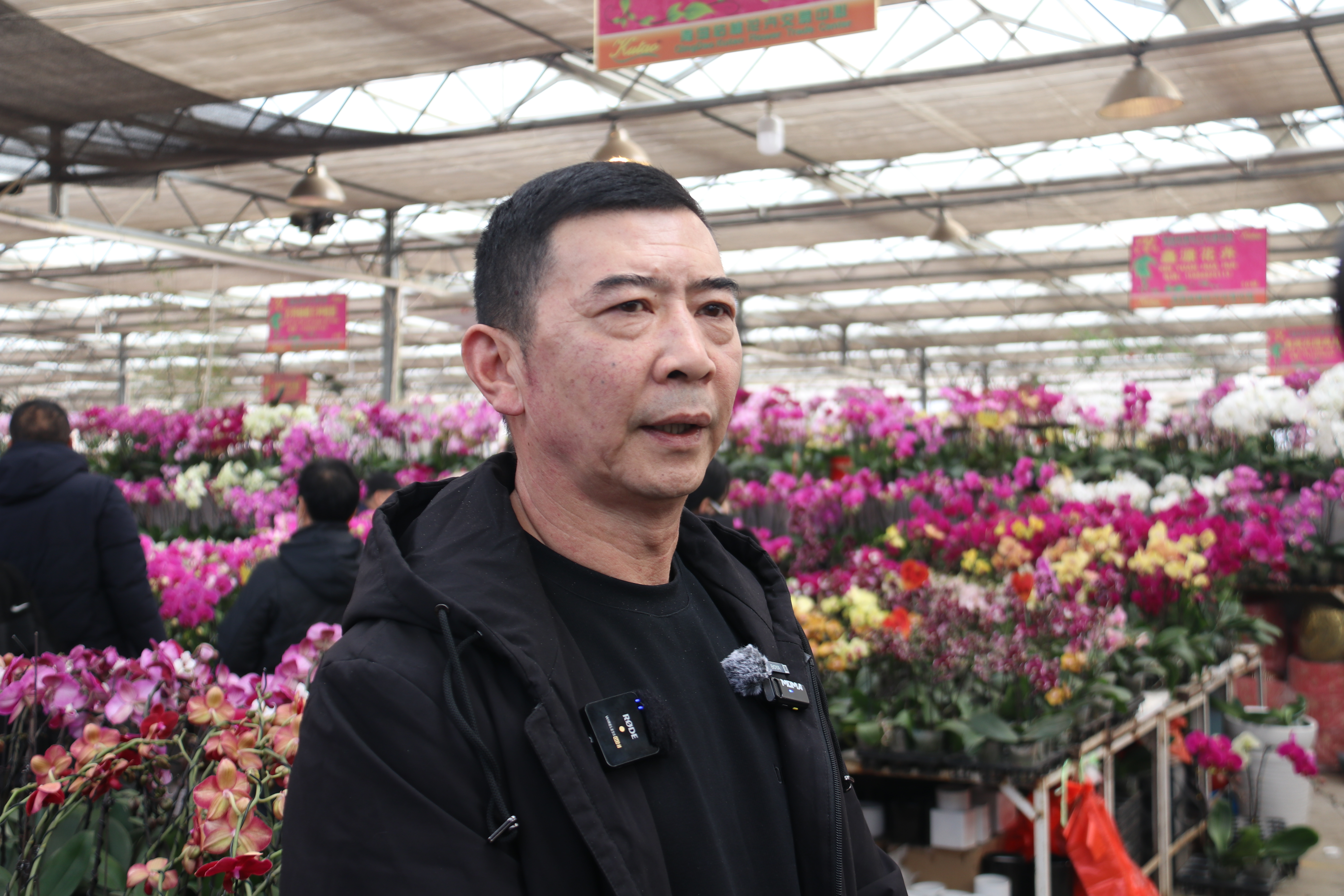 新春走基层—快来崂山区枯桃花卉市场挑选绿植花卉吧！