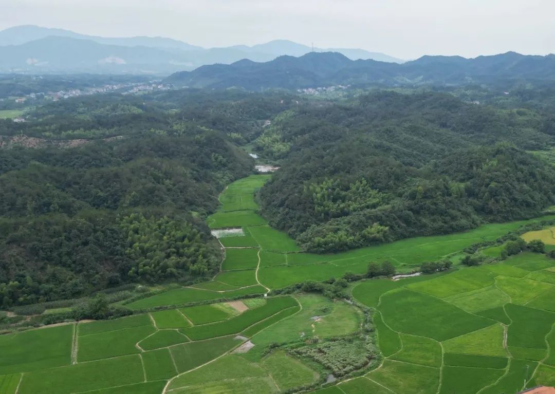 峡江县水边镇分界村土地被流转三年 村民没拿到租金