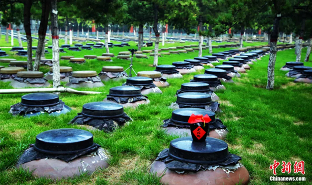 保定刘伶醉万坛酒林。张景义 摄