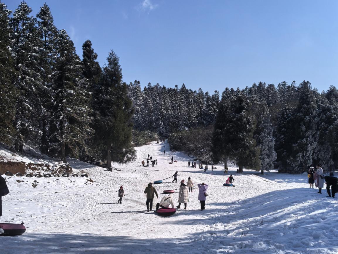 众多游客在彭水摩围山赏雪、滑雪，享受冰雪乐趣。景区供图