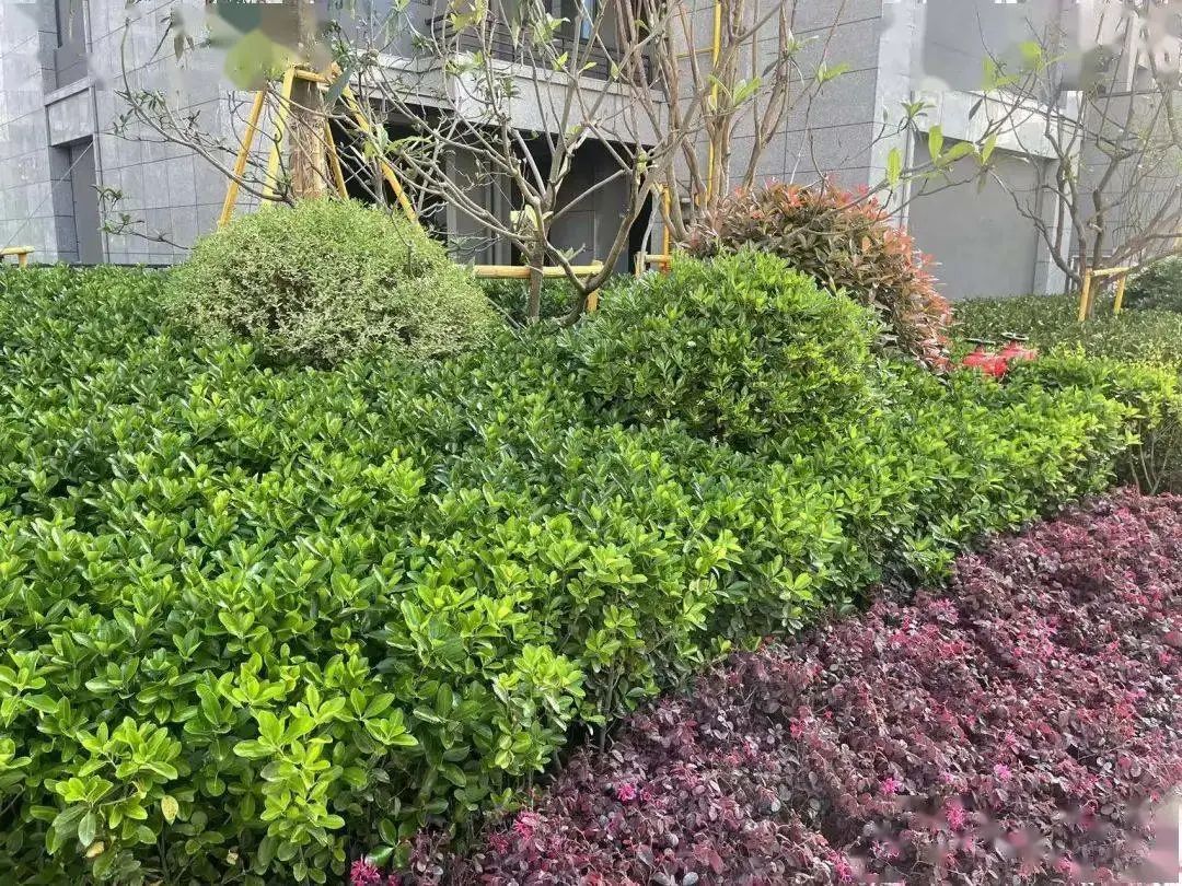 峡江县水边镇分界村土地被流转三年 村民没拿到租金