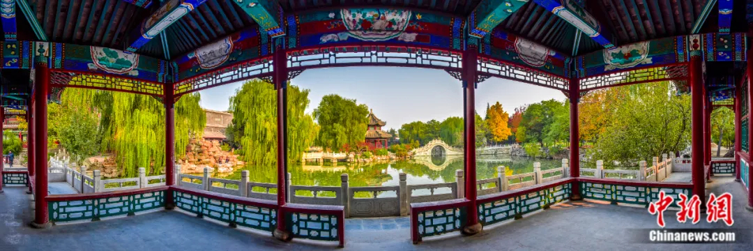 “城市蓬莱”古莲花池。曹少伟 摄