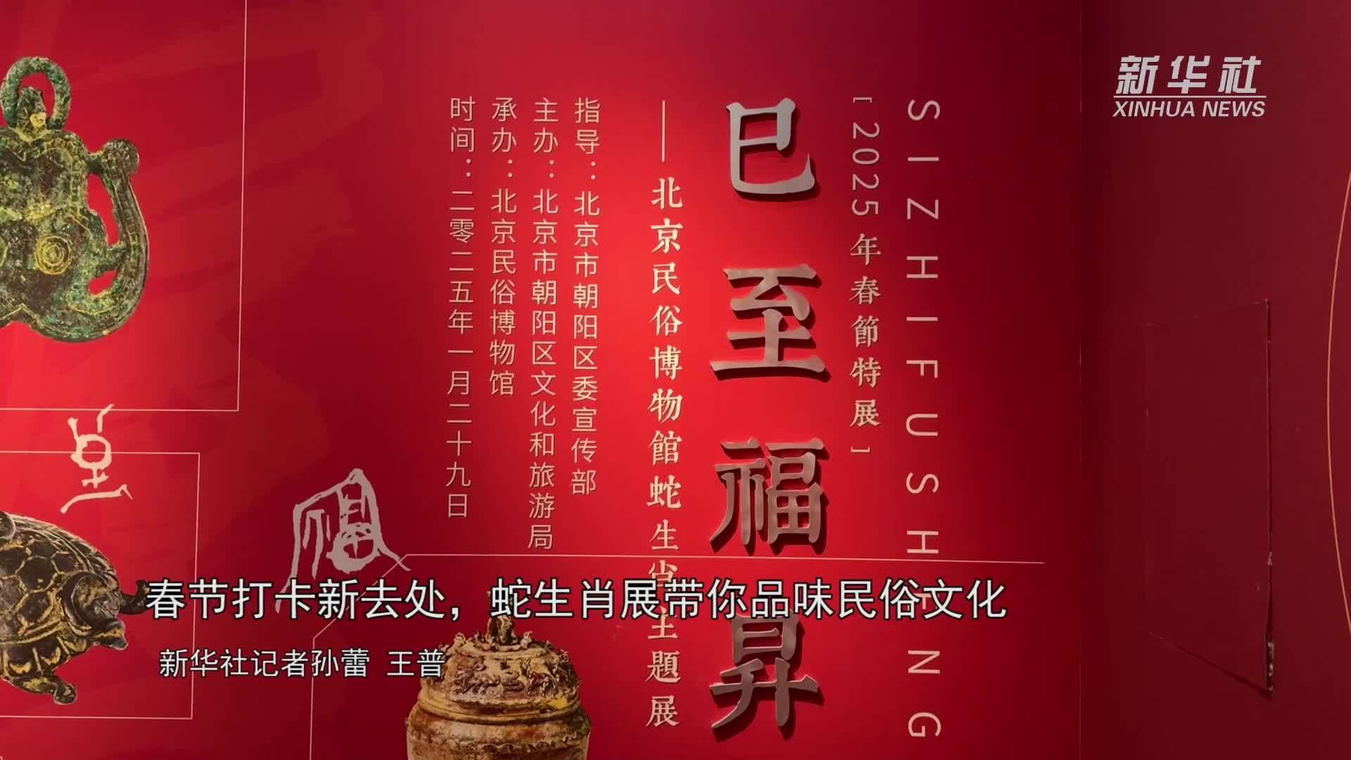 春节打卡新去处，蛇生肖展带你品味民俗文化