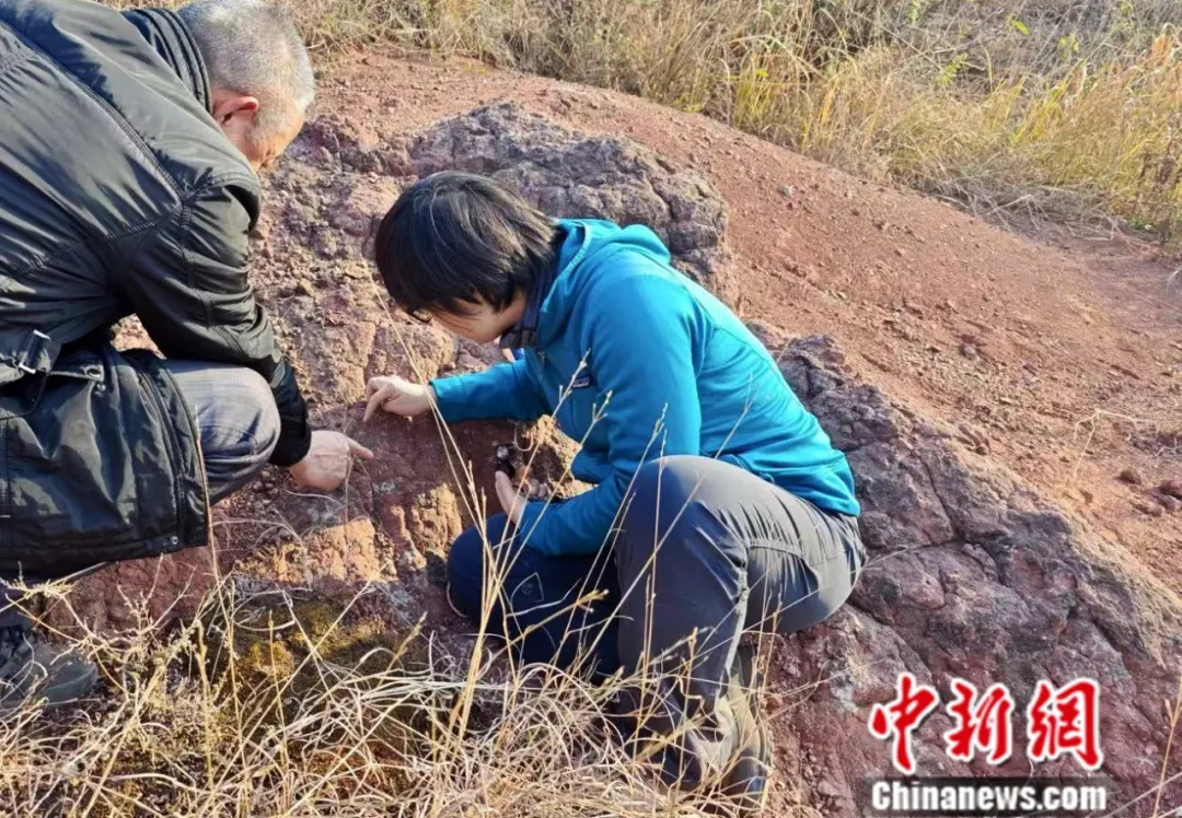 易鸿宇（右）在野外开展化石搜寻发掘工作　受访者供图