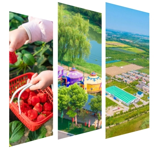 春节游蔡甸！四条线路等你打卡