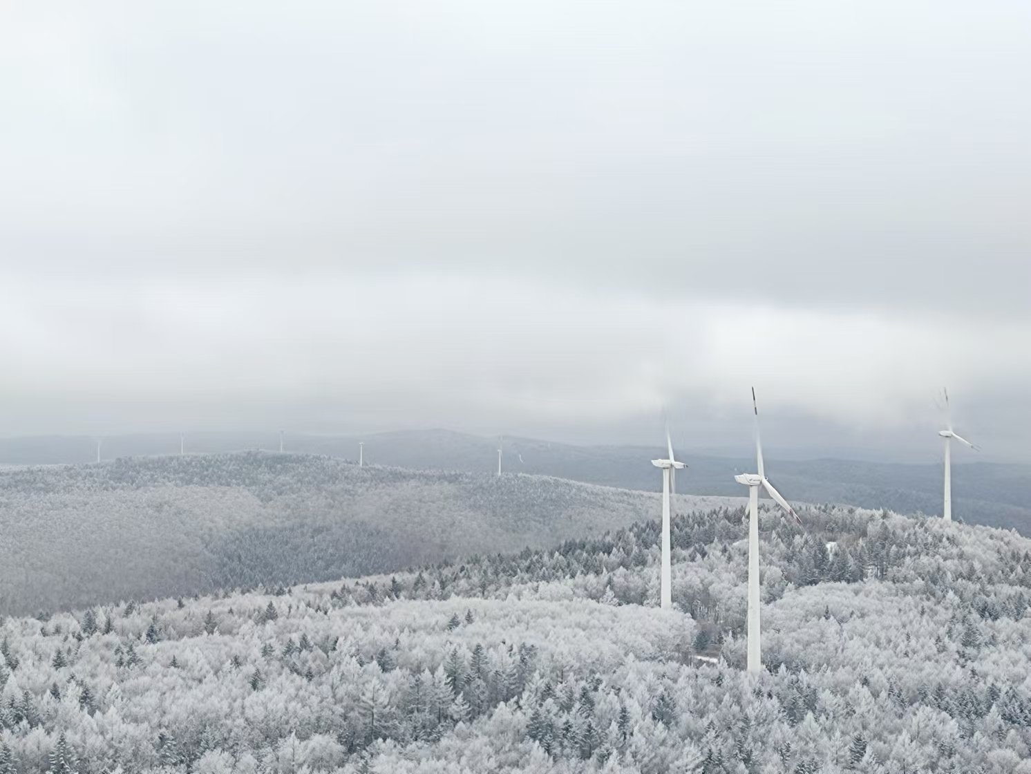 新春走基层 | 站在林海雪原上修风机，点亮林都伊春一盏盏灯火