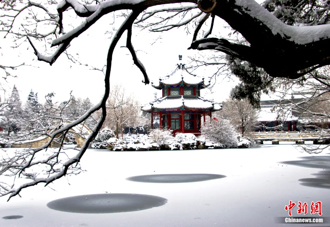 古莲花池冬韵。孟辉 摄