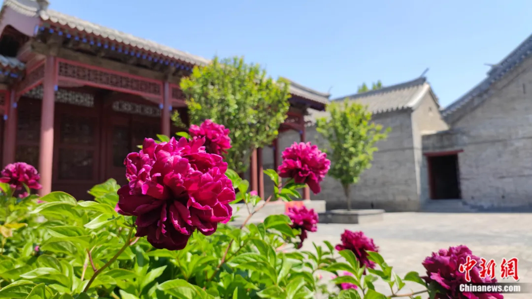 清河道署花厅院。保定水利博物馆供图