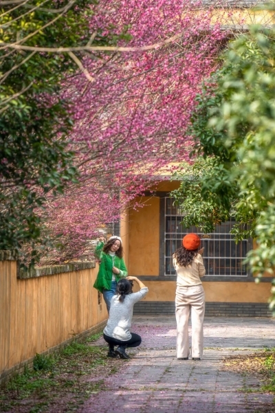 春节游蔡甸！四条线路等你打卡