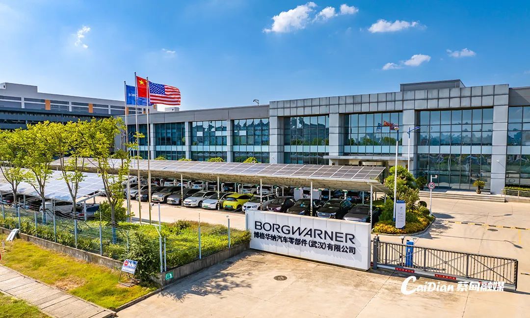 位于蔡甸经济开发区内的美企博格华纳