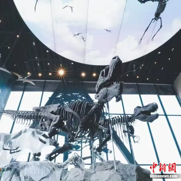 中国古动物馆恐龙帝国展厅。保定文旅供图
