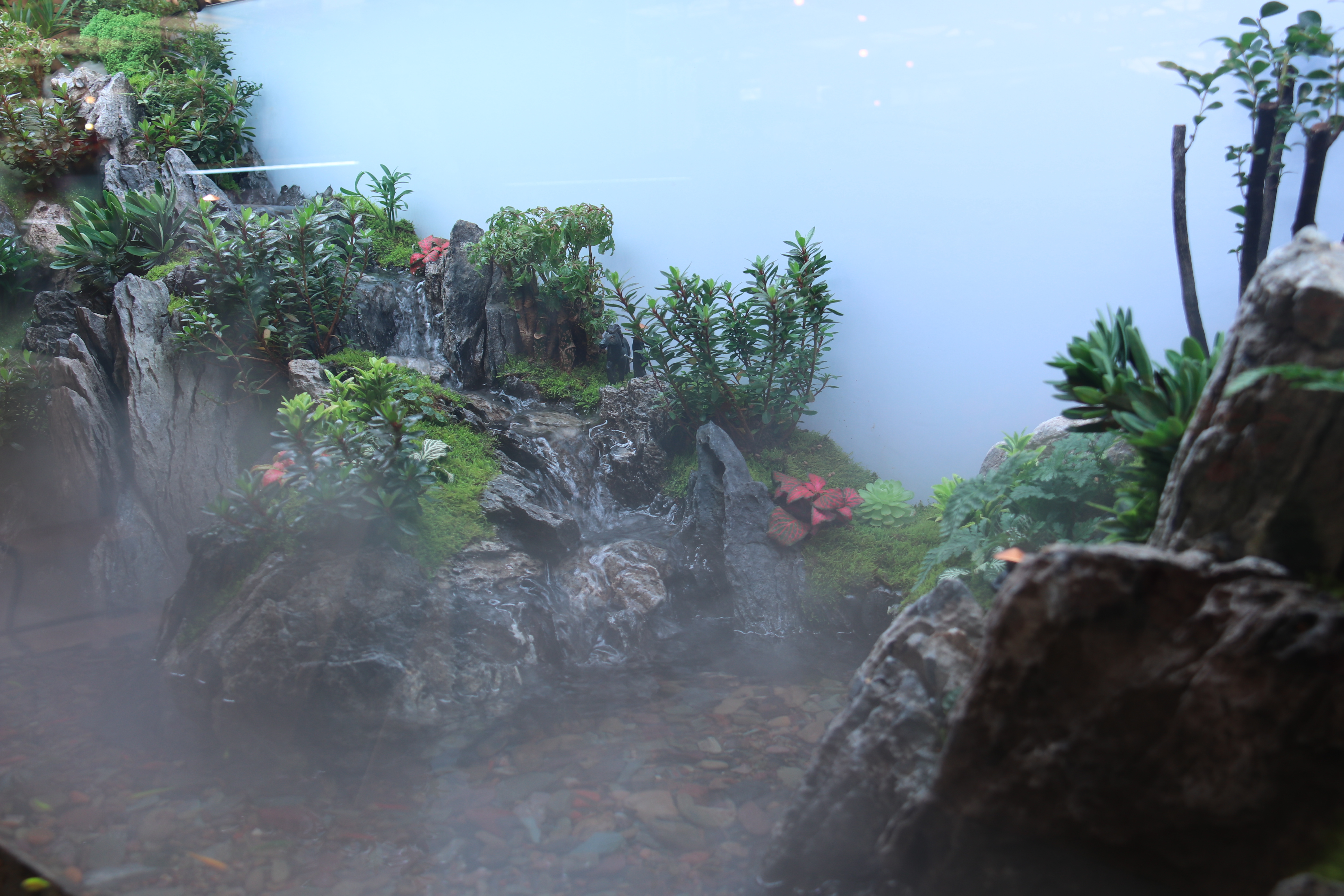 新春走基层—快来崂山区枯桃花卉市场挑选绿植花卉吧！