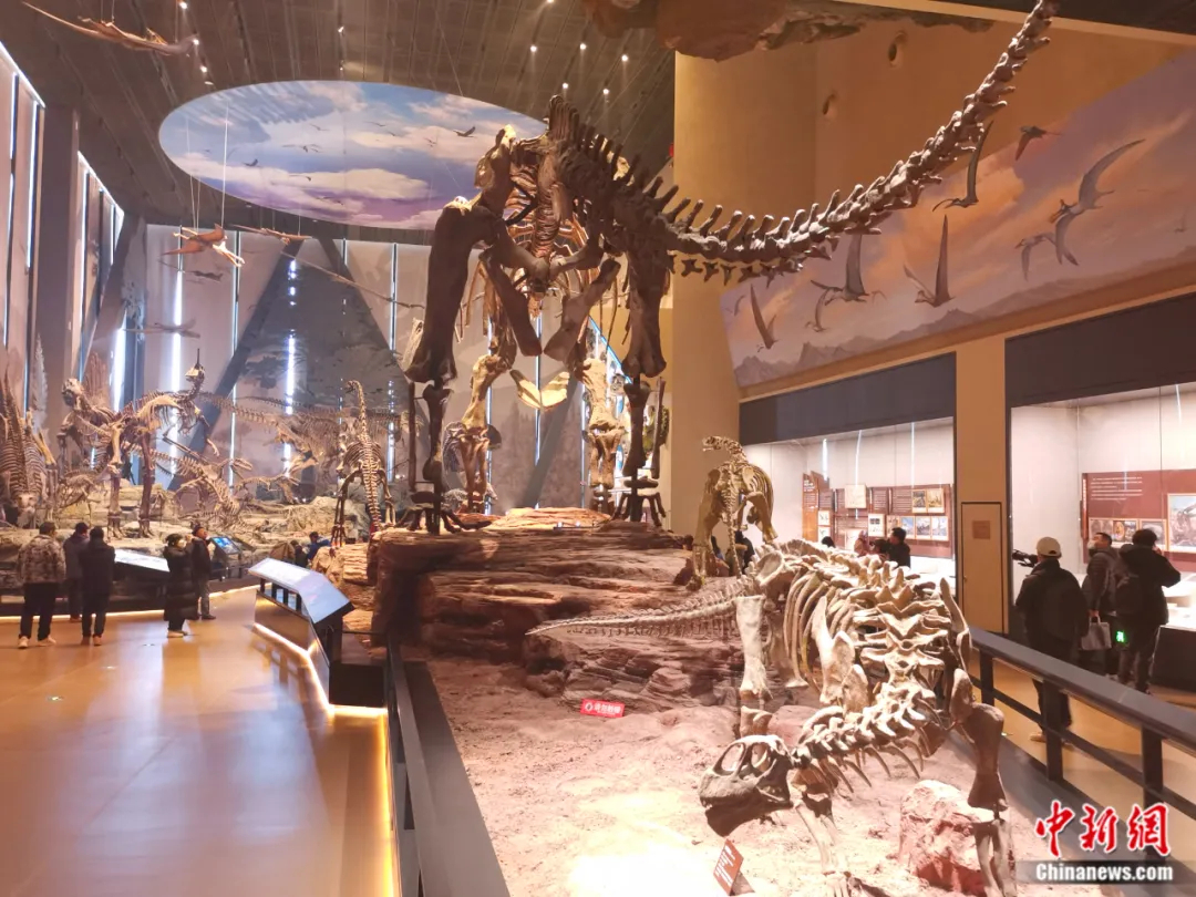 中国古动物馆恐龙帝国展厅。吕子豪 摄