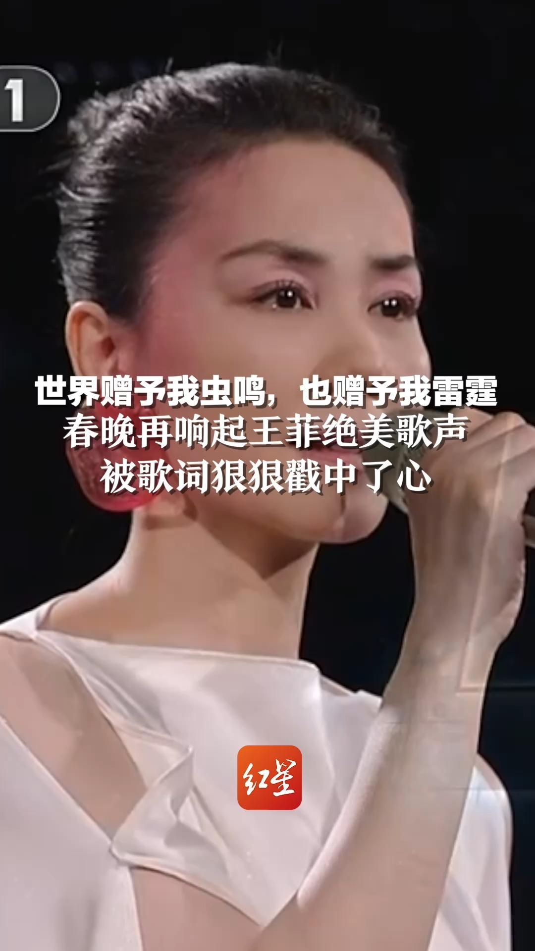世界赠予我虫鸣，也赠予我雷霆……春晚再响起王菲绝美歌声，被歌词狠狠戳中了心