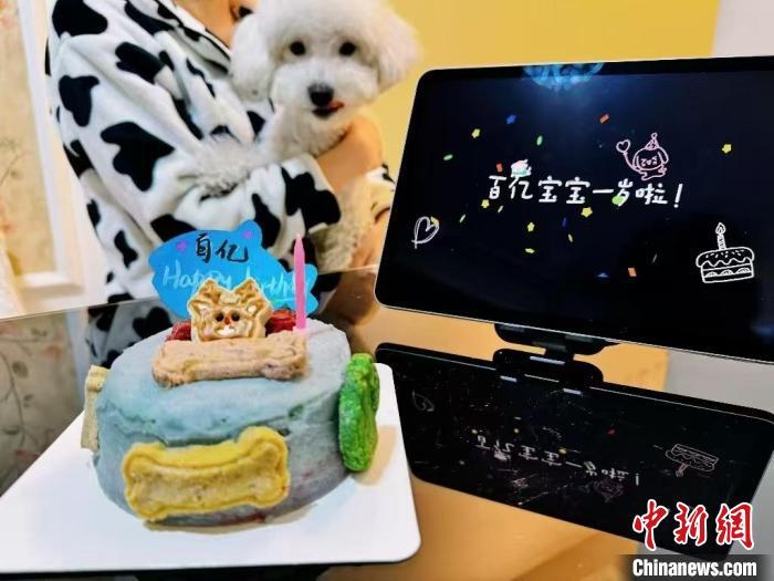 乙巳蛇年春节期间，宠物年夜饭热销。济南汪贝力鲜食店推出价值168元的宠物年夜饭套餐，图为该鲜食店制作的宠物蛋糕。(受访者供图)