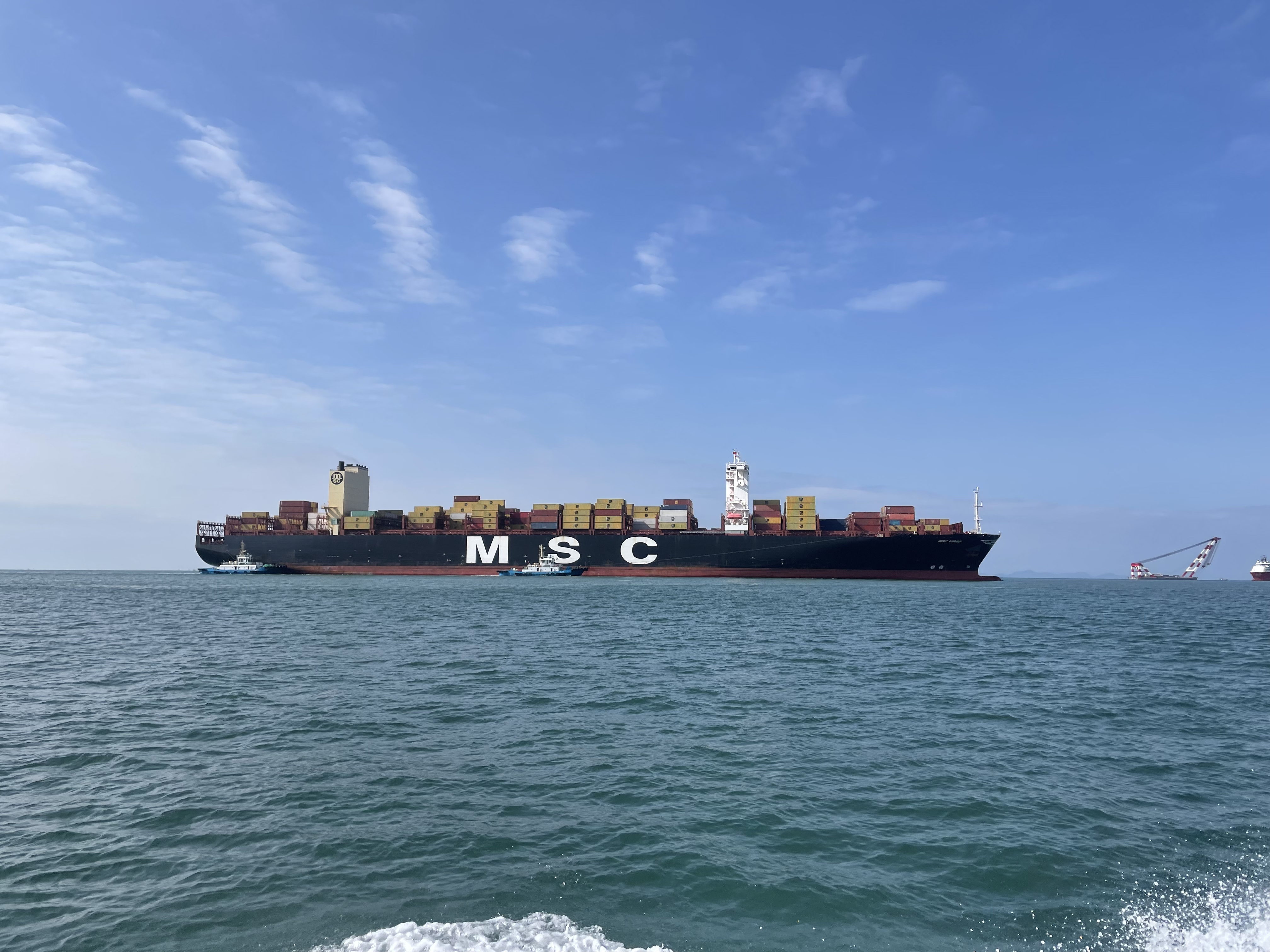 “爆单”!深圳南山港区码头迎来生产“开门红”