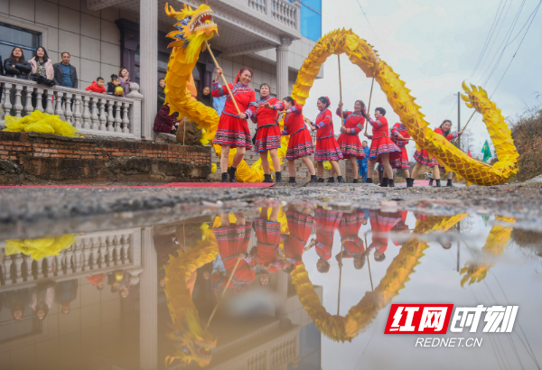 2025年2月1日，湖南省永州市道县清塘镇达村新九甲，民间艺人在进行舞龙表演。 (7).jpg