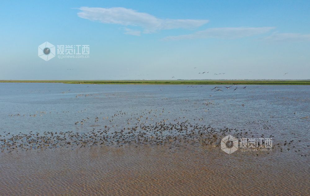 诗韵满江西，新春来畅游