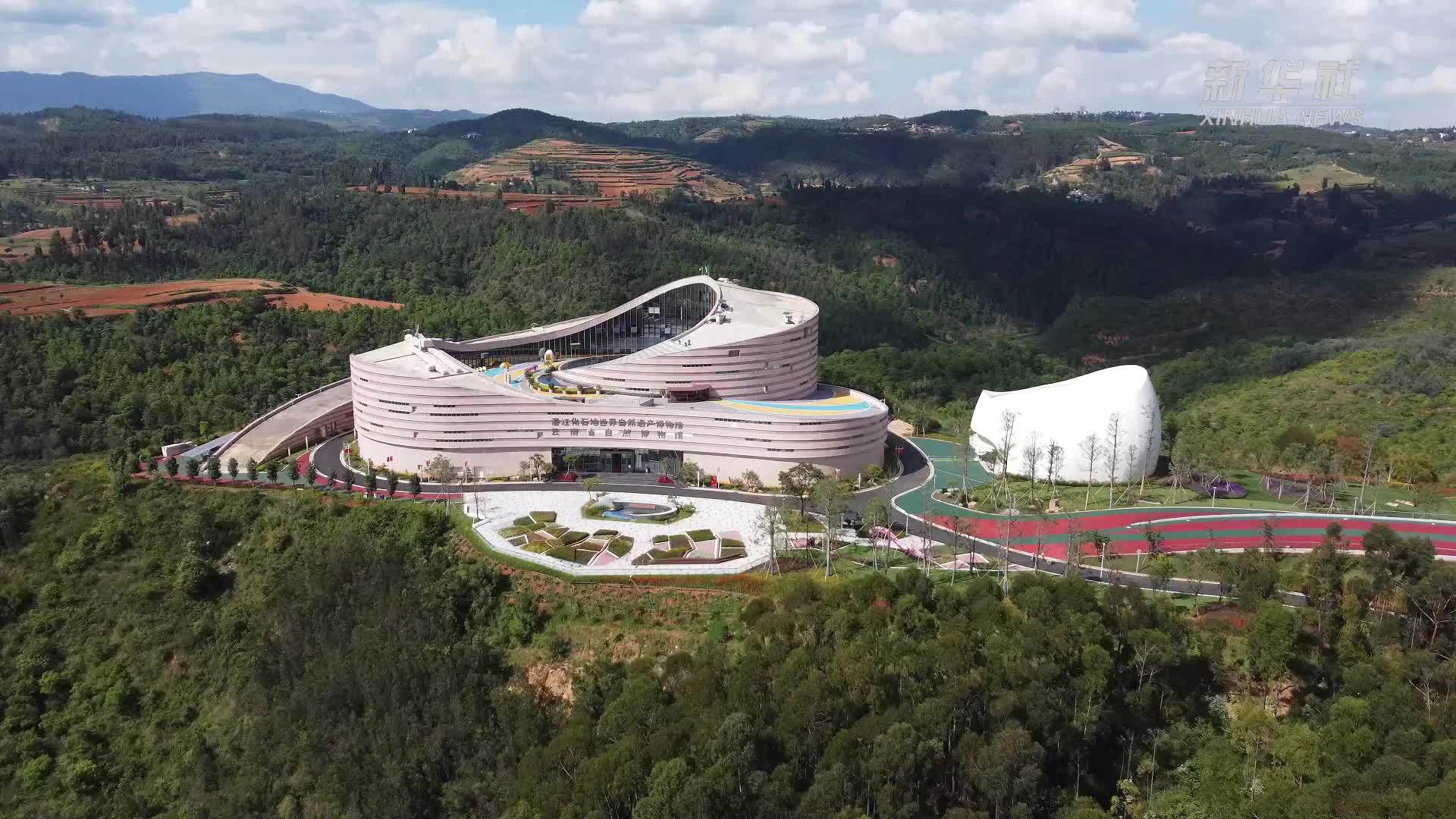 云南澄江：春节到博物馆看化石