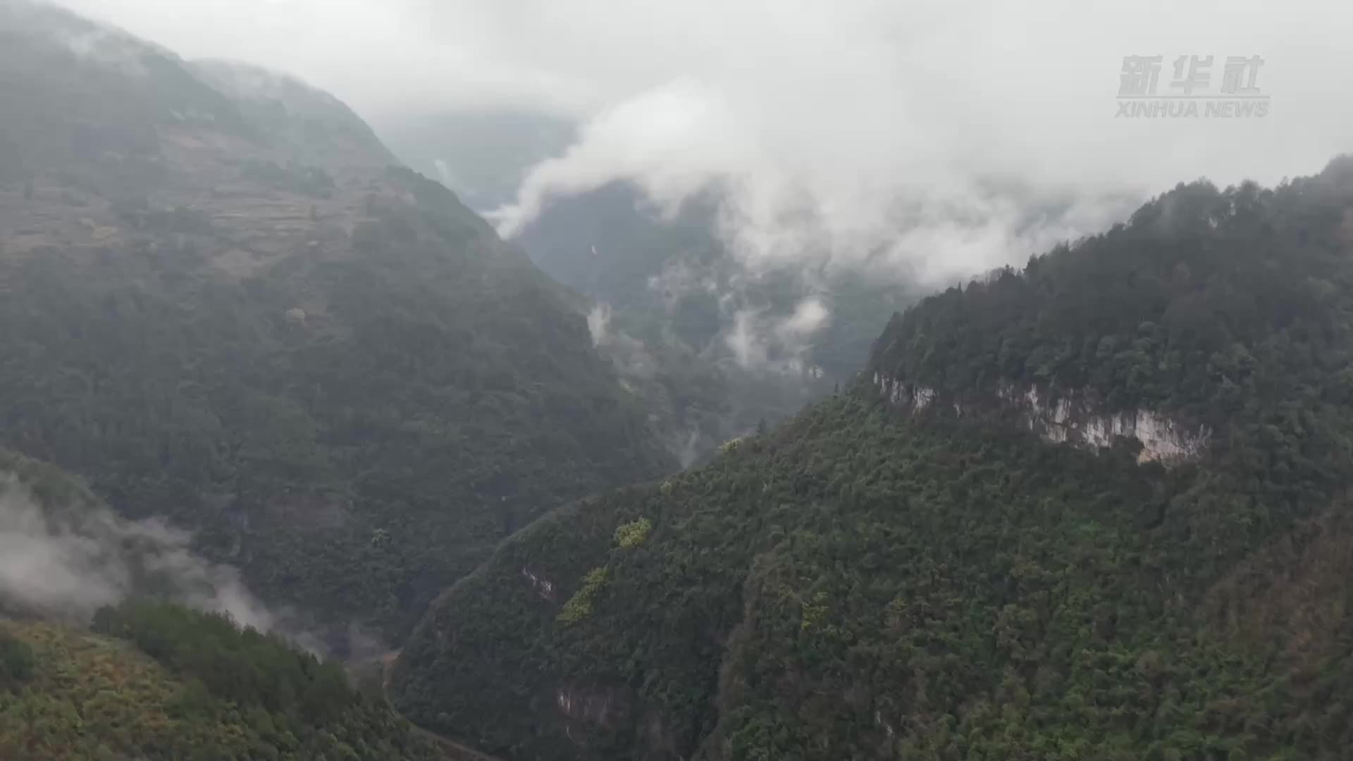 新春走基层｜跟着护林员夫妇去巡山