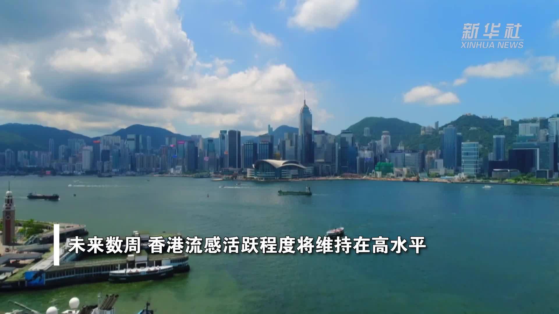 香港凤凰网(香港凤凰网官网首页)