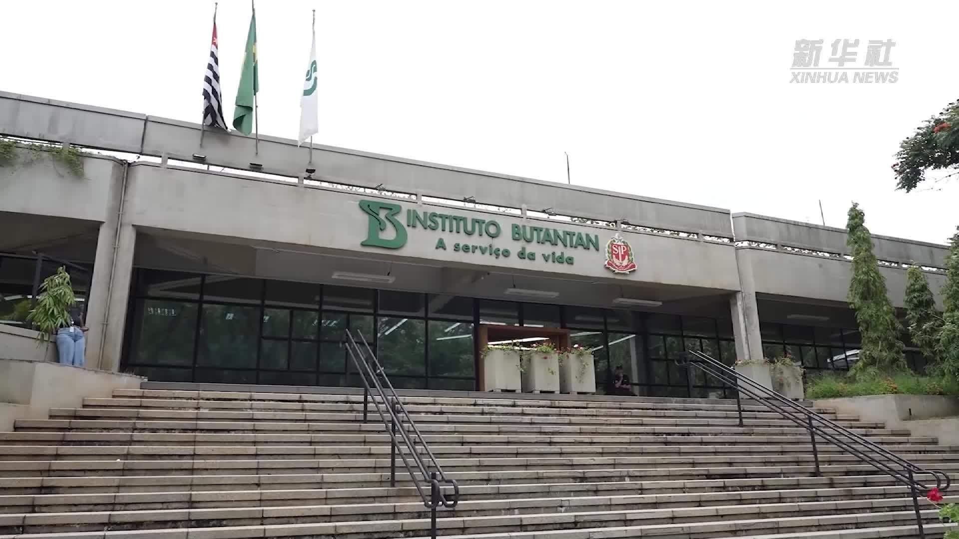 蛇年逛蛇园：探访巴西布坦坦研究所