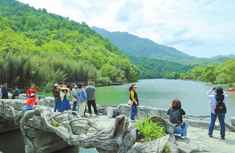 康县阳坝镇梅园沟天鹅湖景区　黄培军