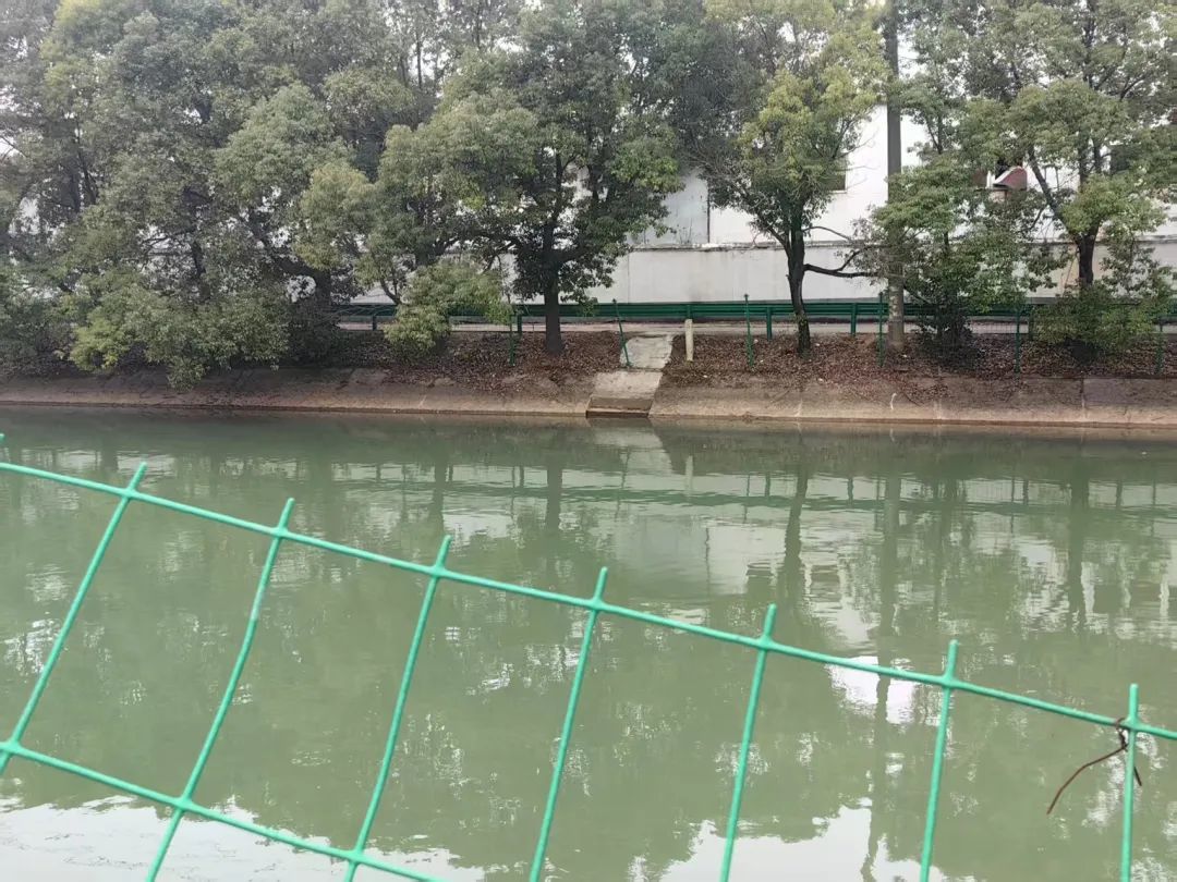 刺骨河水中，南昌一民警死死抱住群众不肯放手