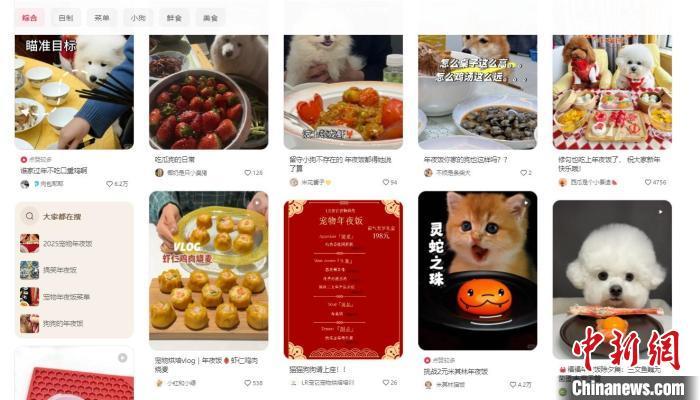在小红书等社交平台上，“宠物鲜食”赛道已然成为一众博主的新选择。网络截图