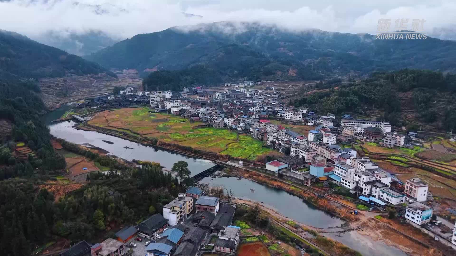 广西龙胜：“闹春牛”庆新春