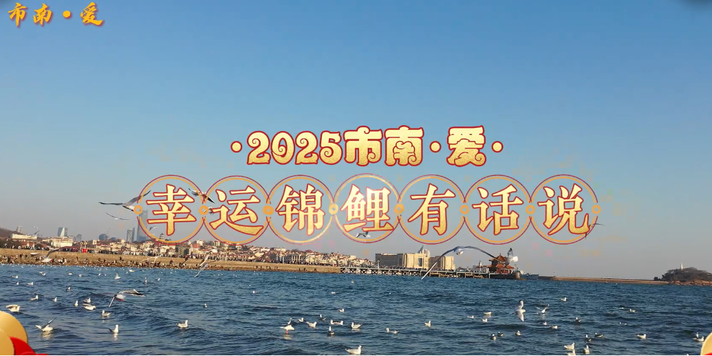 凤凰视频|市南·爱——幸运锦鲤有话说