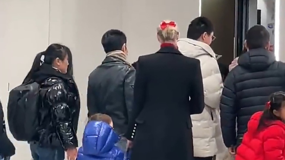 网友偶遇撒贝宁回武汉拜年 一家四口同框超温馨封面图