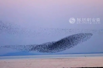 震撼！壮观！合肥巢湖惊现“大鱼海棠”奇景