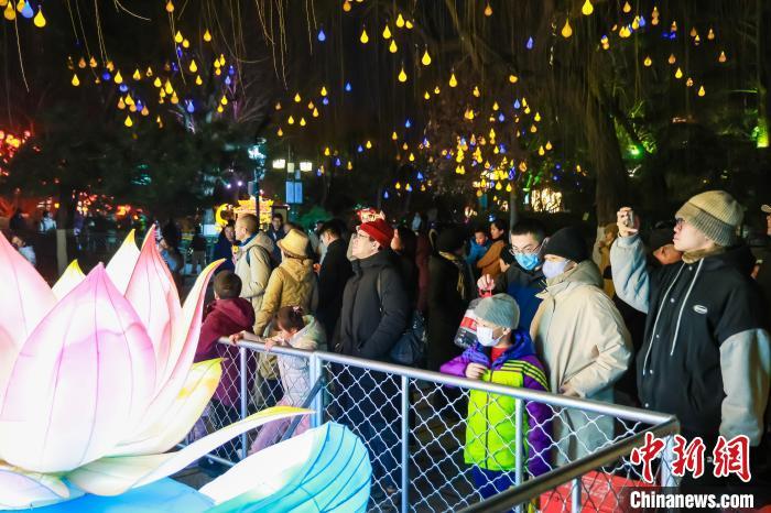 1月29日，大年初一，游客在趵突泉景区游赏济南天下第一泉迎春花灯会。张瑞珺 摄