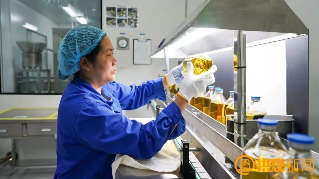 资料图