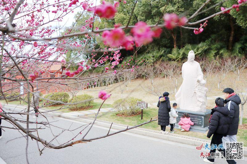 梅花与石像相互映衬