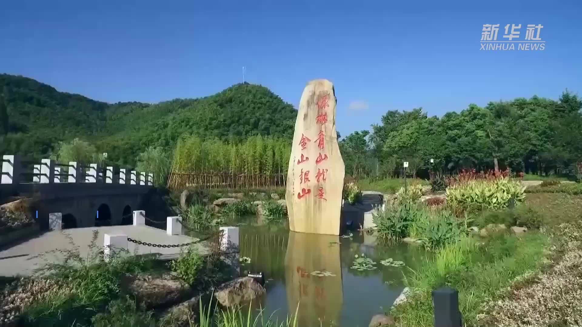 浙江安吉“青年入乡”新观察
