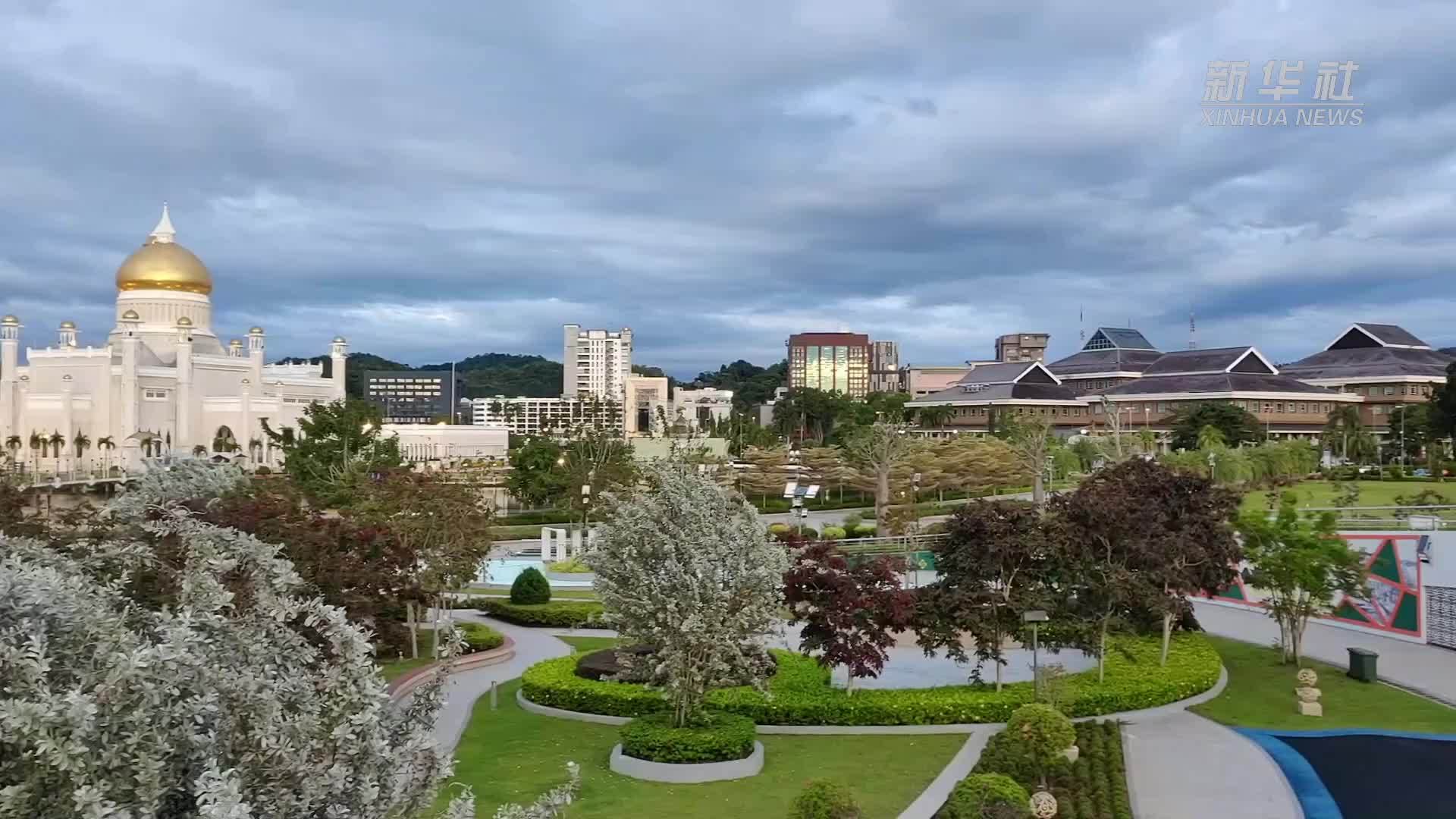 从广西到文莱——一筐柑橘的“一带一路”之旅