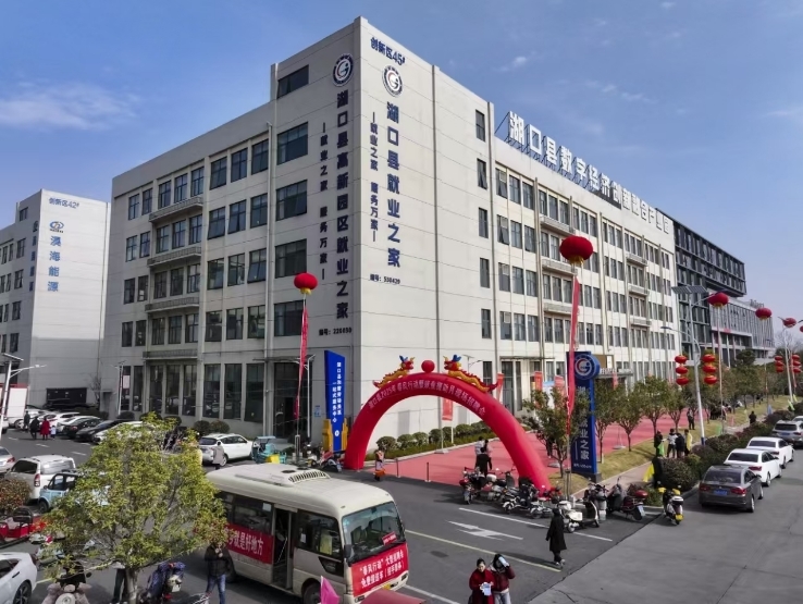 “春风”送岗启新程 九江湖口县2025年“春风行动”火热开展