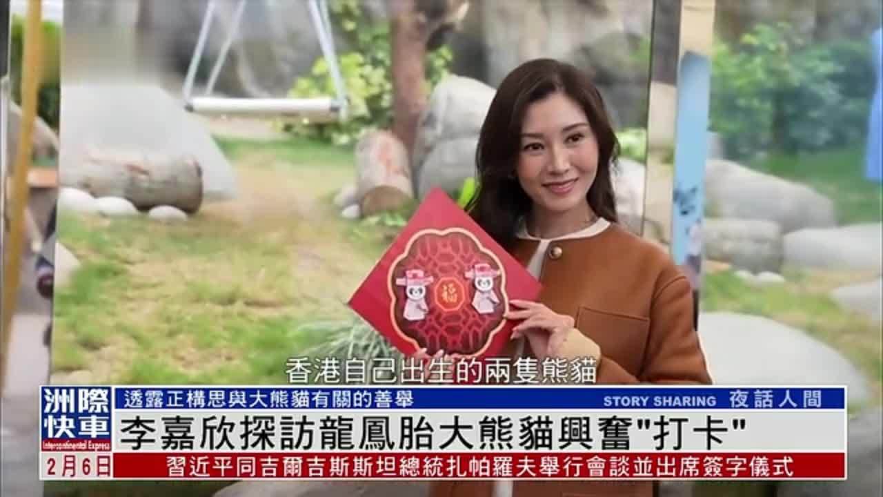 娱乐快递｜李嘉欣探访龙凤胎大熊猫兴奋“打卡”