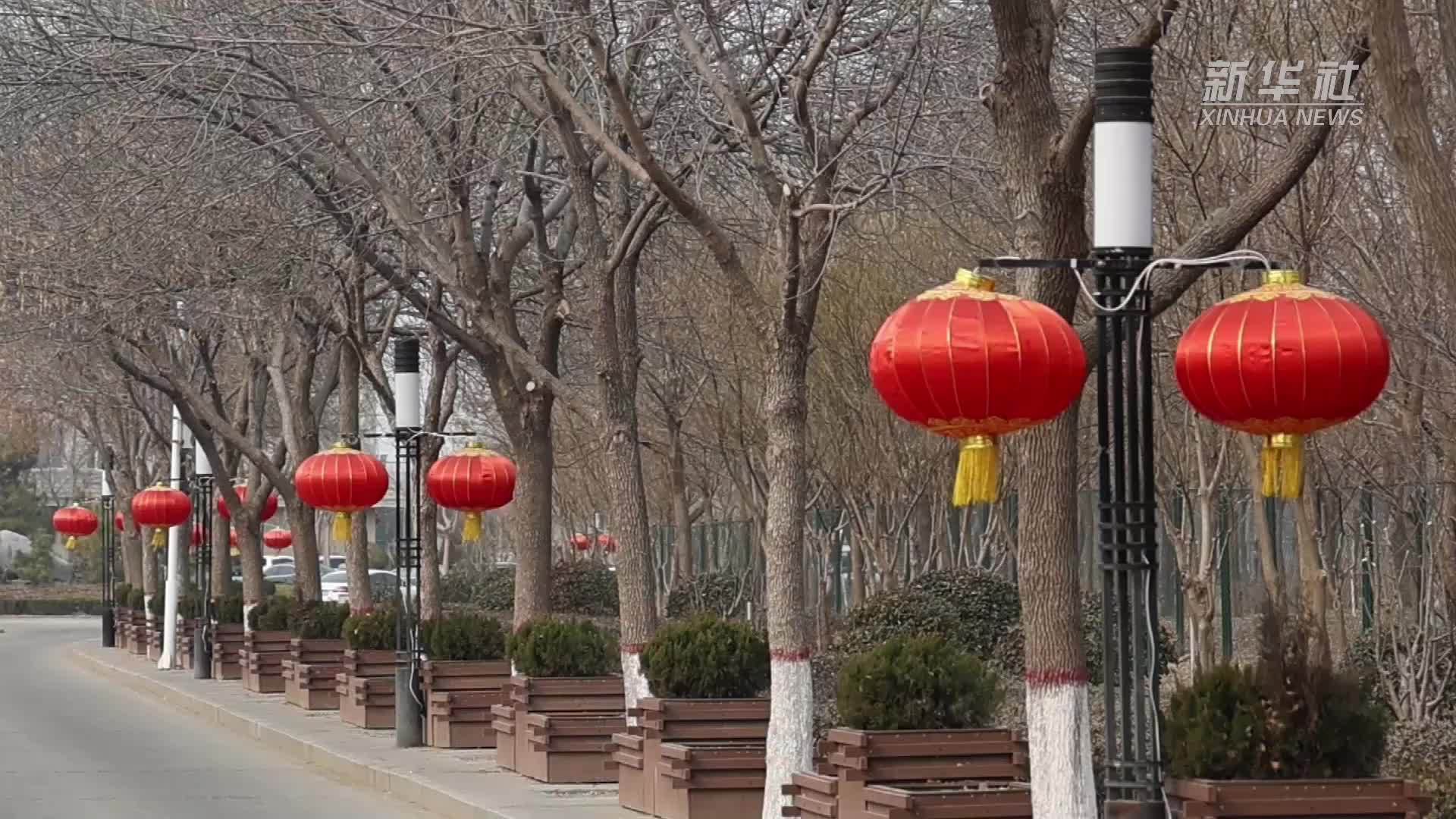 这个春节 他为衡水湖候鸟站岗