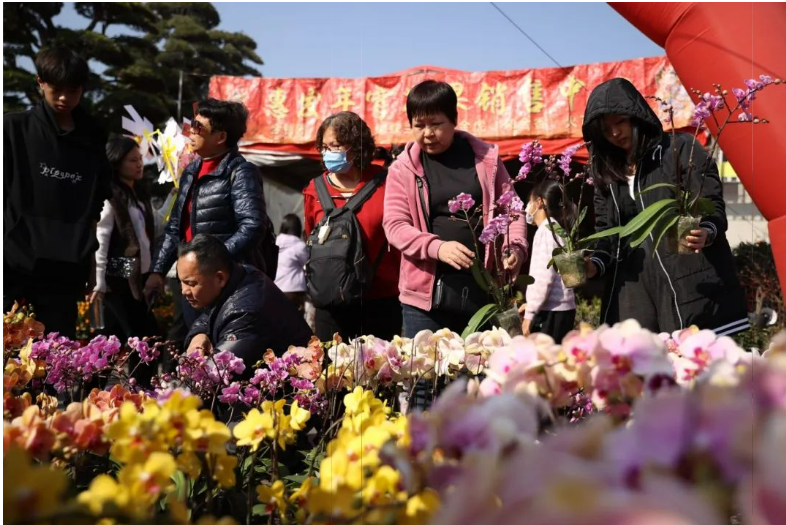 超224万人次到顺德过大年！顺德中式潮流“新年味”助推文旅“热辣滚烫”