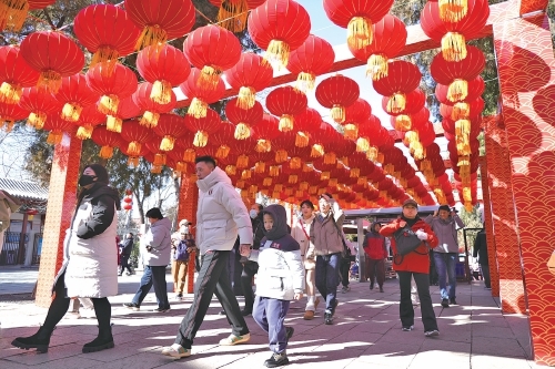 济南：游园赏景看演出 欢欢喜喜过大年