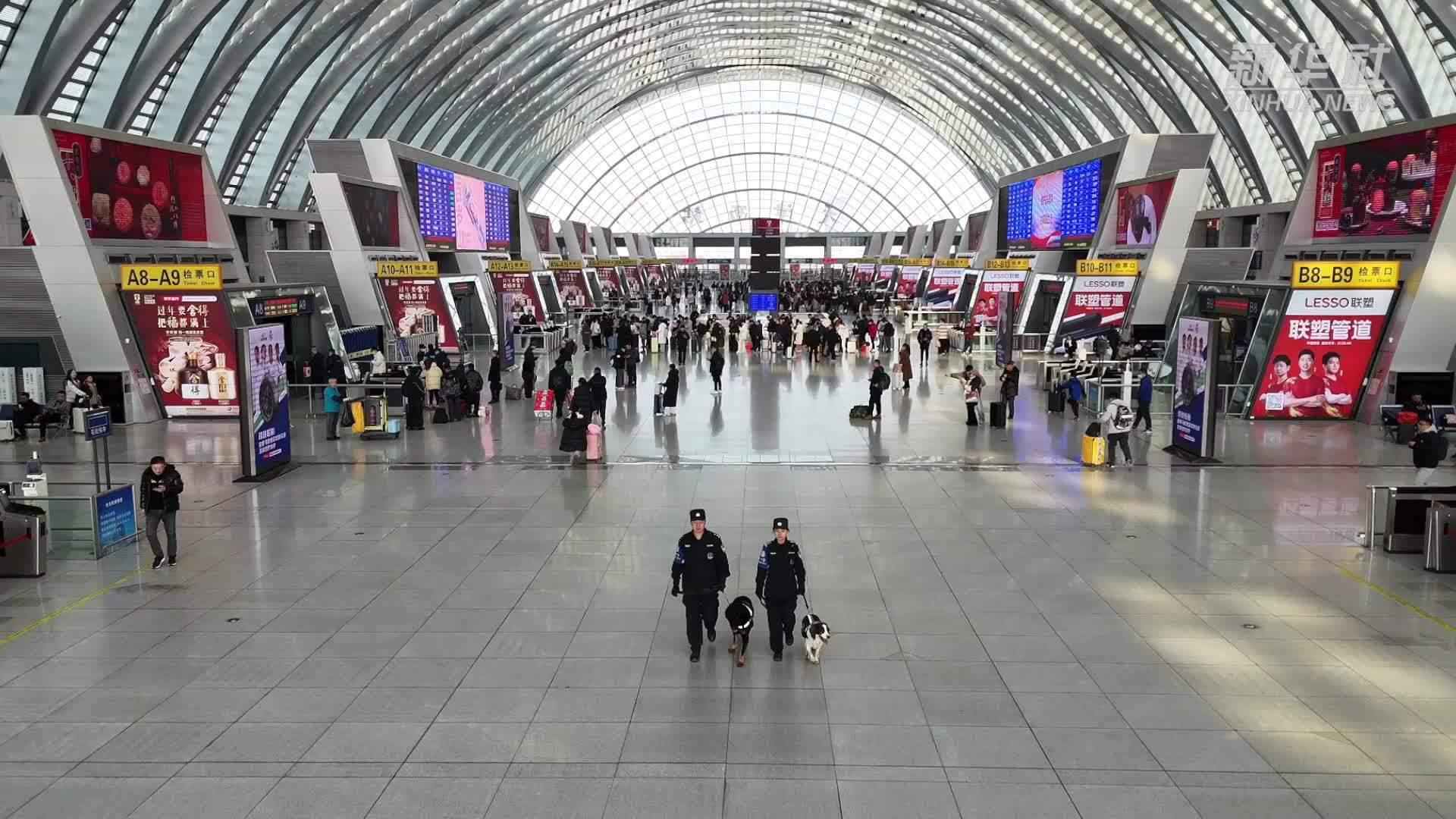 萌萌警犬守护春运平安