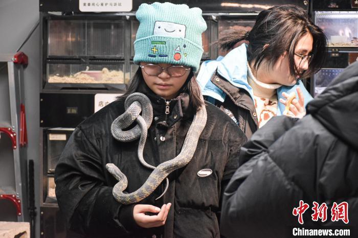 探访南昌爬宠工作室年轻人解锁蛇年“撸蛇”新体验
